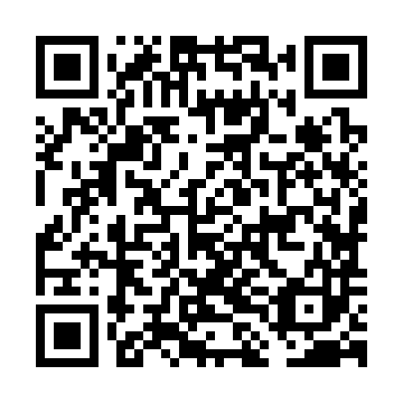 QR code for plate FLJ 383