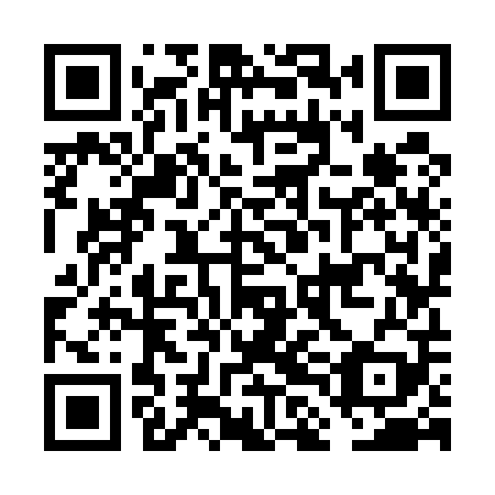 QR code for plate FLK 509