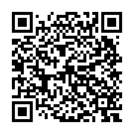 QR code for FLK656