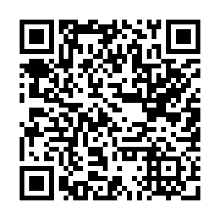 QR code for FLU 971
