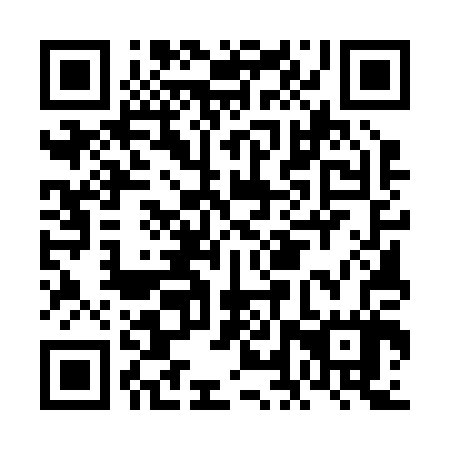 QR code for plate FLU 207