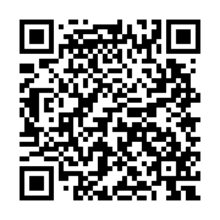 QR code for plate FLU 717