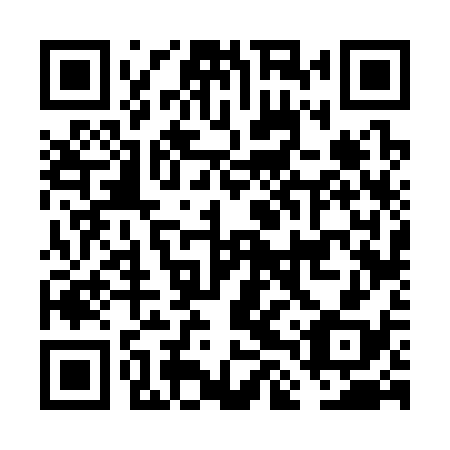 QR code for FLV 338