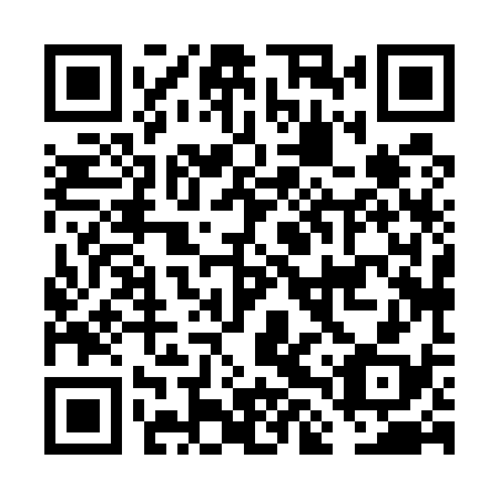 QR code for FLX538