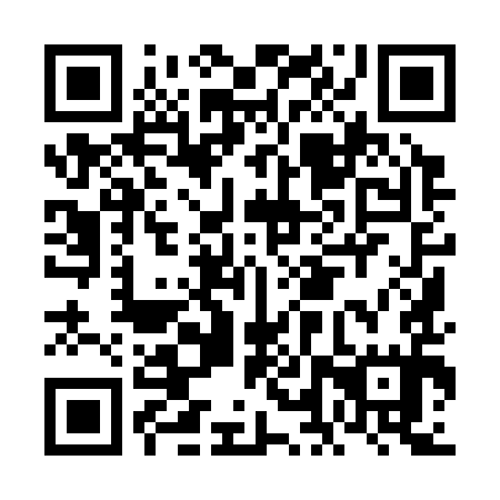 QR code for FLY395