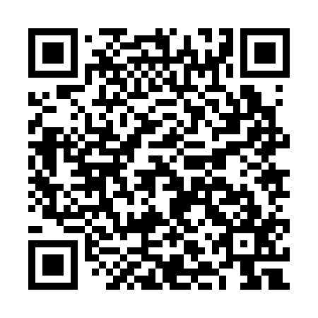 QR code for FLZ 317