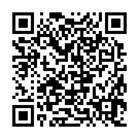 QR code for plate FMC 386