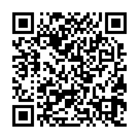 QR code for plate FMG 249