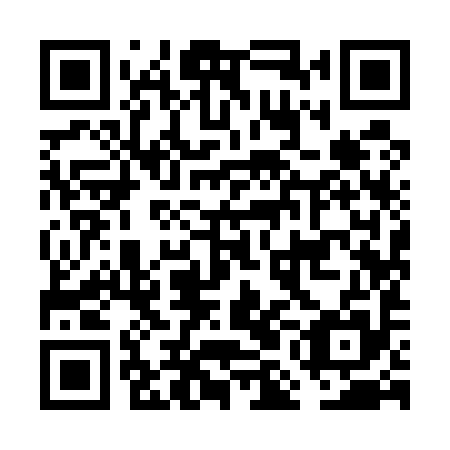 QR code for plate FMI 595