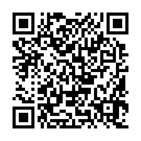 QR code for FMM 386