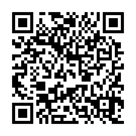QR code for FMT 334