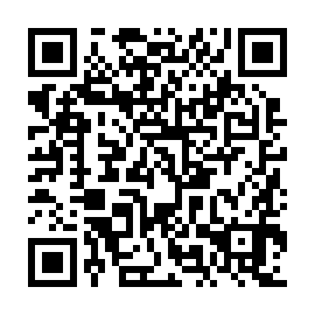 QR code for FMZ 290
