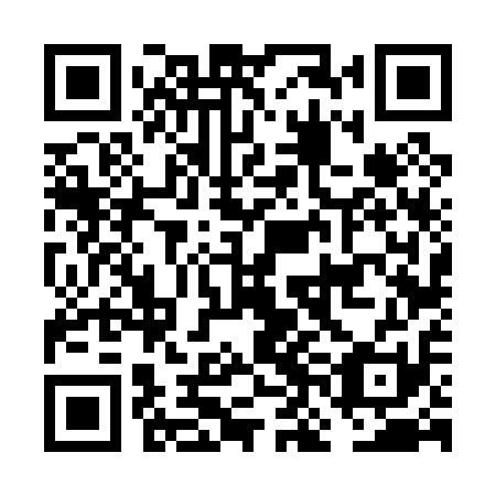QR code for plate FNF 011