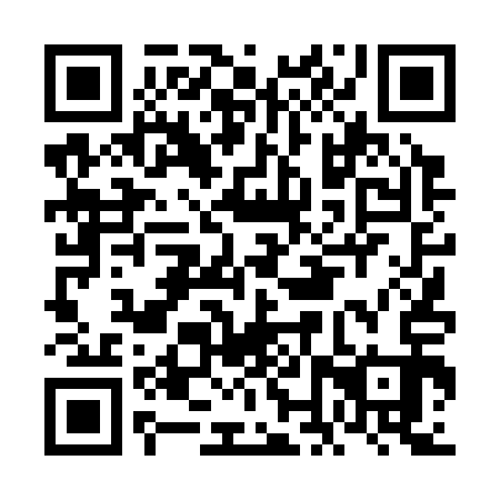 QR code for FNT 313