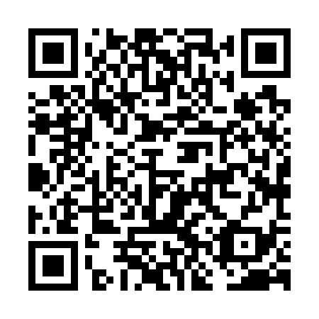 QR code for FNX 739