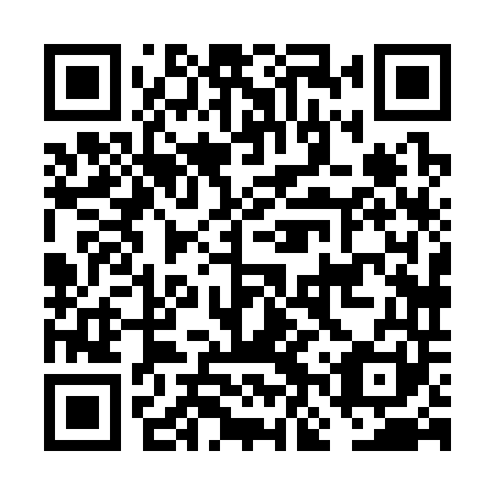QR code for plate FNX 341