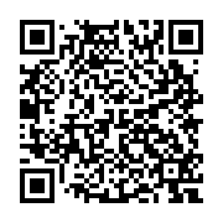 QR code for FOM 313