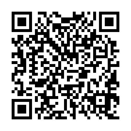 QR code for plate FPE 355