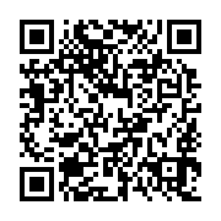 QR code for FPN 393