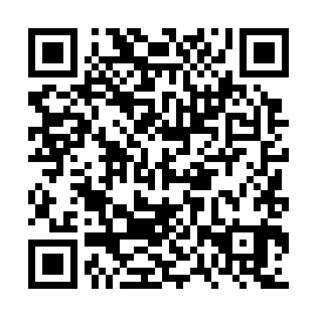 QR code for FPT 381