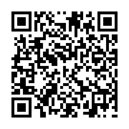 QR code for plate FRE 308