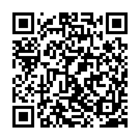 QR code for FRI393