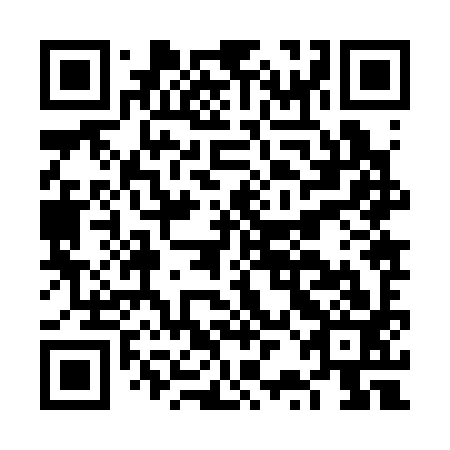 QR code for FRJ 393