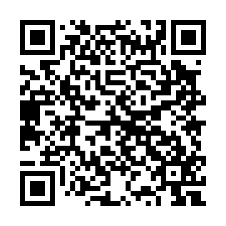 QR code for plate FRM 017