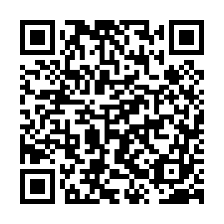 QR code for plate FRV 063