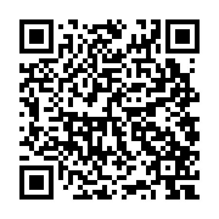 QR code for plate FRV 307