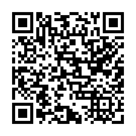 QR code for plate FSE 333