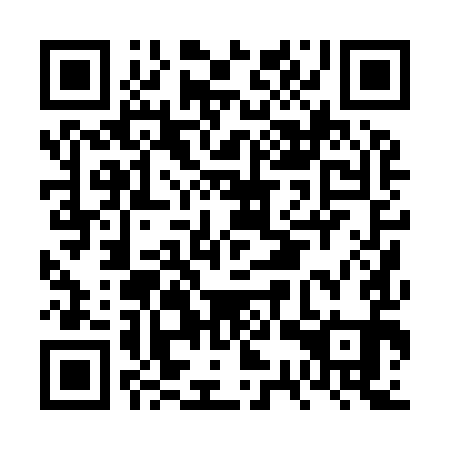 QR code for FSP 991