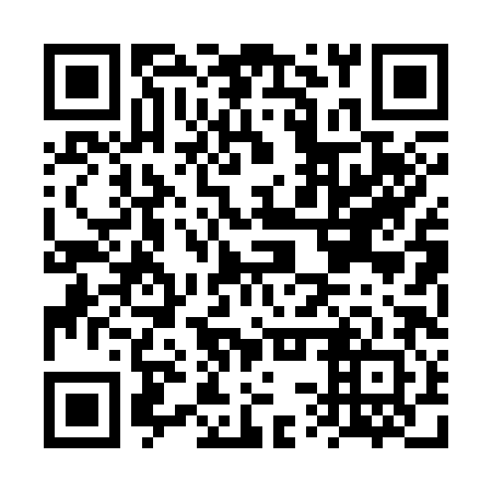QR code for FSP382