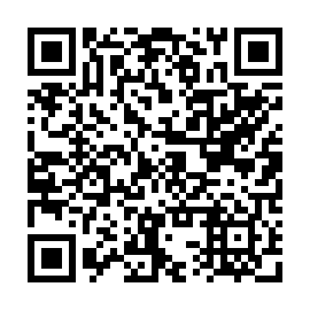 QR code for plate FST 209