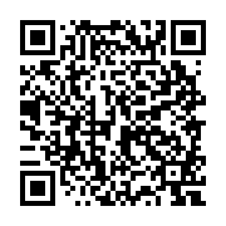 QR code for FSX381