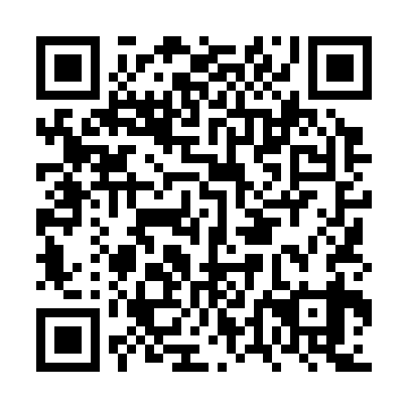 QR code for FTL 339
