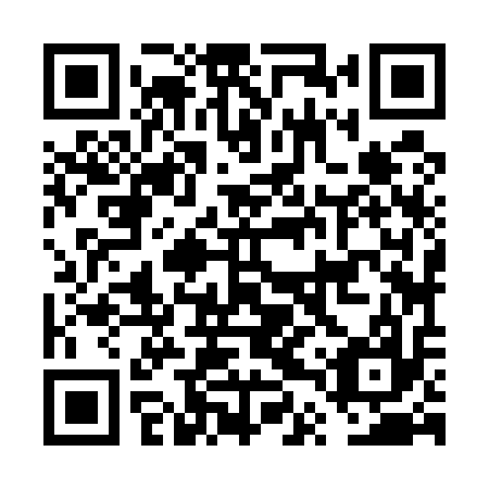QR code for plate FTZ 517