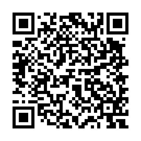 QR code for FWE 496