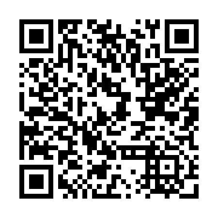 QR code for plate FWO 313