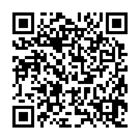 QR code for FYC 384