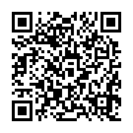 QR code for FYF 377
