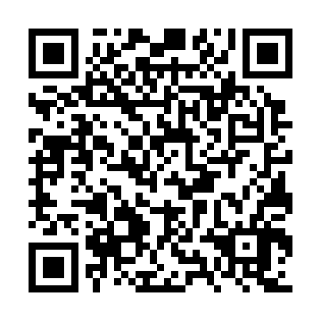 QR code for plate FYG 306