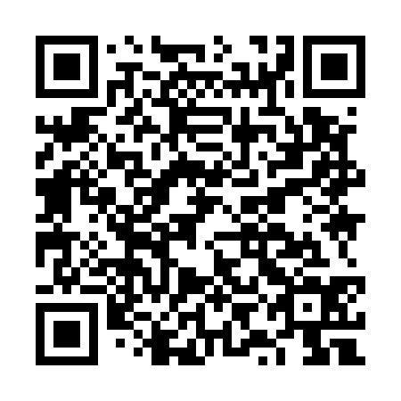 QR code for plate FYI 534