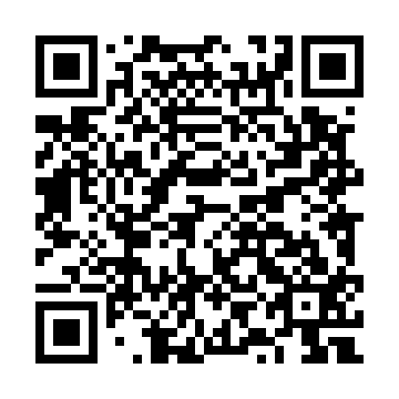 QR code for plate FYL 513