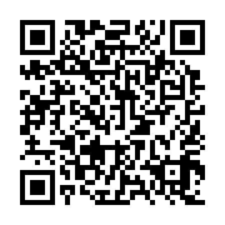 QR code for plate FYN 319