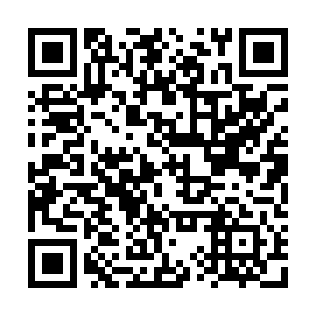 QR code for FYP 041