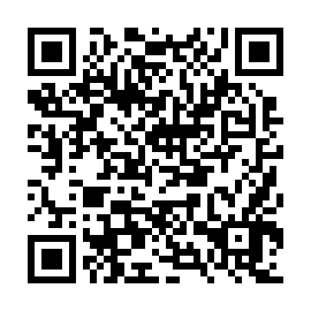 QR code for FYP 246