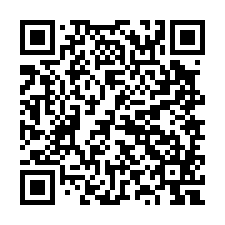 QR code for FYZ 085