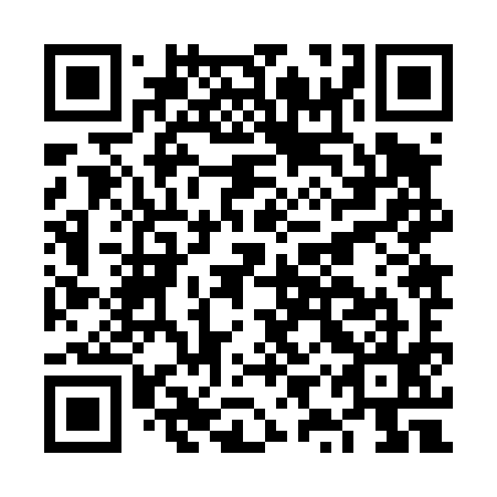 QR code for FYZ495