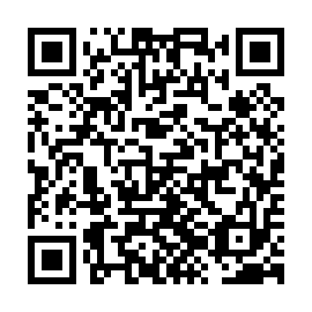 QR code for FZC013
